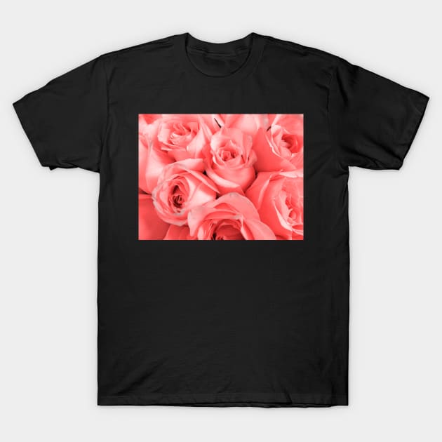 Pink roses in pastel pantone 2019 living coral T-Shirt by Reinvention